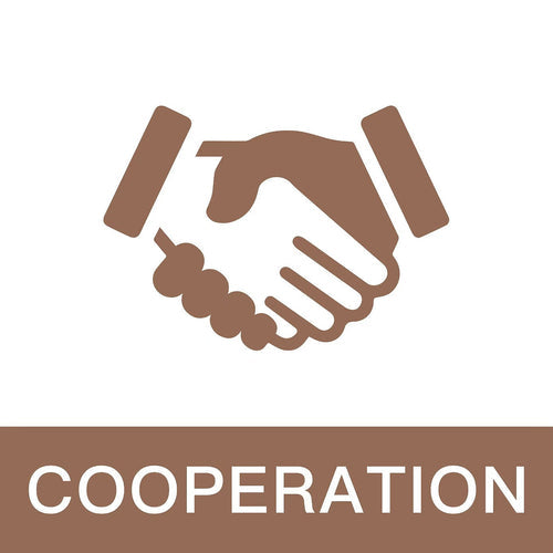 Business Cooperation Opportunities: Become Our Distributor or Explore Other Collaborative Ventures