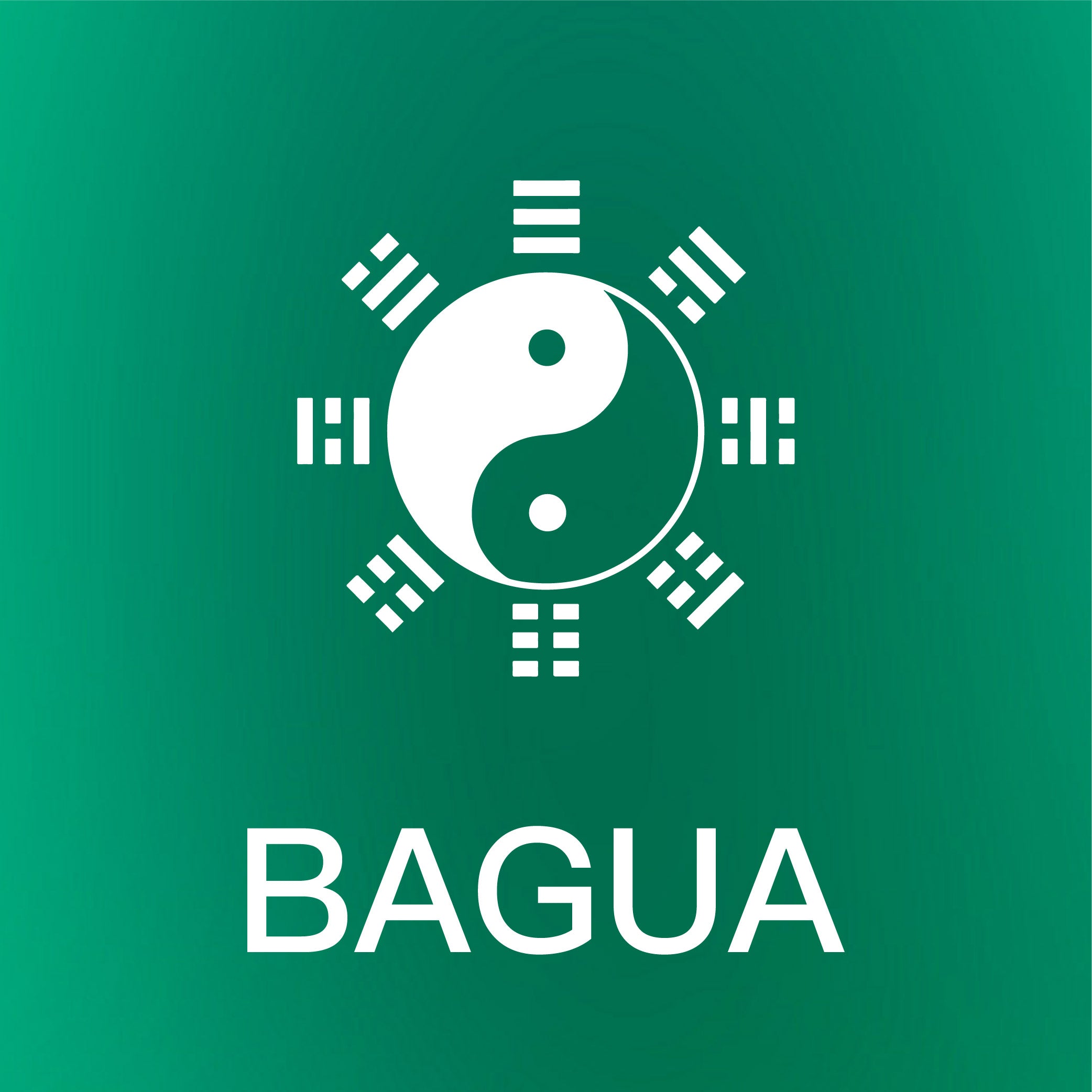 The Marvel of Bagua: Ancient Wisdom or Just Fancy Shapes?